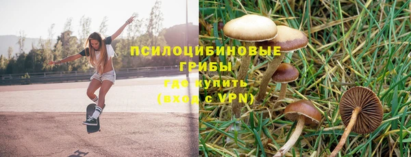 меф Алексин