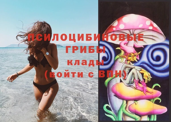 гидра Алзамай